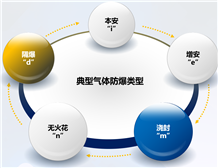 爆炸性气体场所使用香蕉视频下载安装设备的IP防护等级要求
